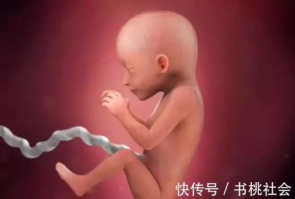 孕妈|子宫内胎儿0~40周,发育变化全过程,太神奇了!