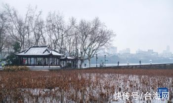 白雪|杭州西湖迎来新年初雪「组图」