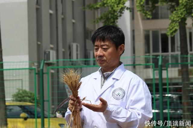 刘怀攀|70后教授带领00后大学生下田割麦 教学生把论文写在田间地头