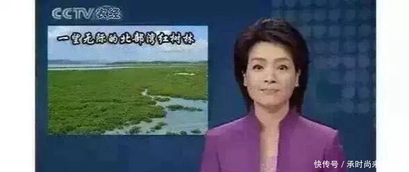 央视|央视“曝光”的海鸭蛋,这油到底是什么东西流出的“油”能吃吗