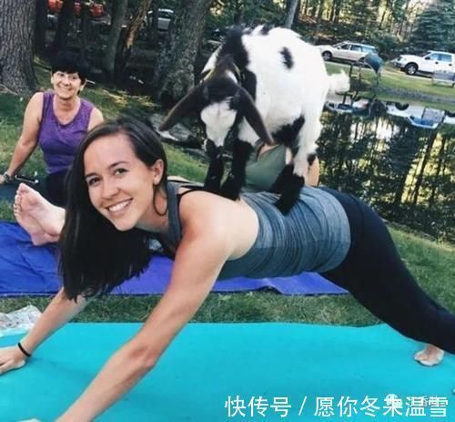 心理健康|山羊瑜伽是5件事的理由以及为什么应该尝试?