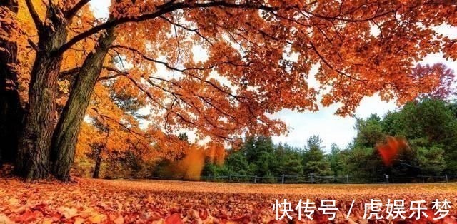 诗人&天才诗人王勃的一首悲秋诗,短短二十字,古往今来引起无数共鸣