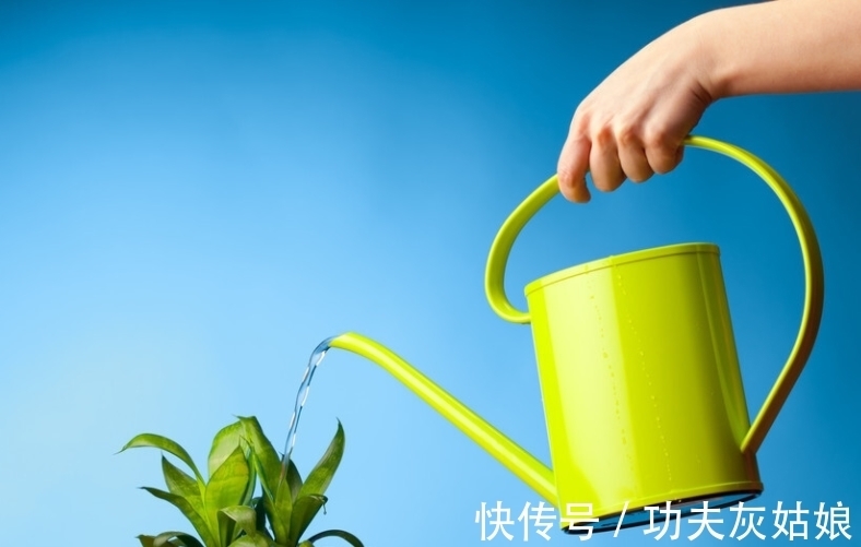 冬日给盆栽补水使用哪些溶液效果更好?这2样均比自来水合适阿
