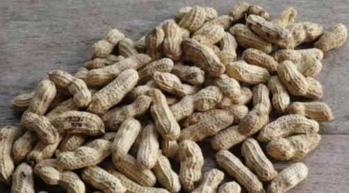 熟花生|熟花生和生花生哪个营养更佳?专家说出了大实话,多人表示吃错了