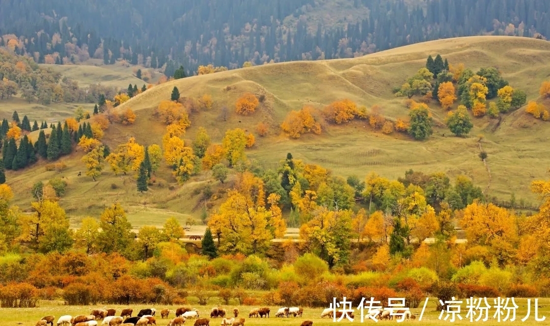 阿房宫赋@人生入秋,岁染花香。三首清新自然的秋天古诗,你值得一读