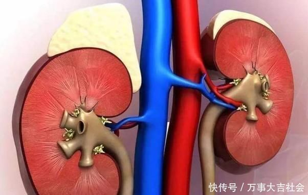 男人|男人3个地方越“热”，肾脏可能就越“健康”！多数人都不清楚