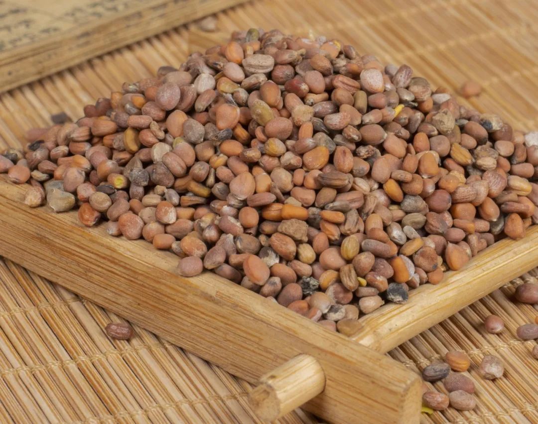 医学衷中参西录|节假日饮食不规律,导致脾胃的负担过重,不妨试一下这味中药材