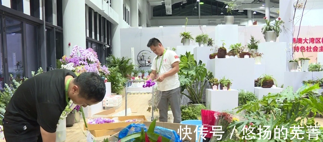 重磅|【最新】花博园里的“重磅新款”来了!