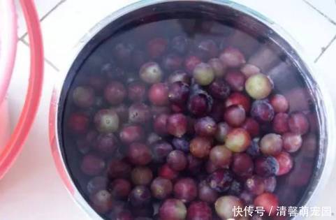 五位专家齐发声:这8种病“饿一下全消失”!不可思议!