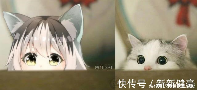 猫娘乐园|万物皆可“拟人化”,躲过可爱的舰娘和机车娘,却羡慕猫狗的爱情