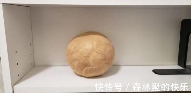 |男朋友:我太难了 冷段子1381 & 去年今日1071