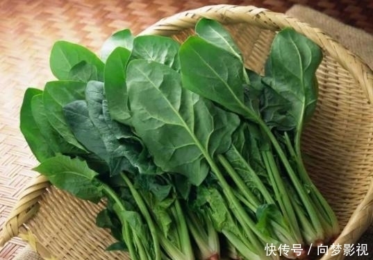 長壽|十大長壽食品或已公布,蘋果排第2,目前先介紹榜單前3名