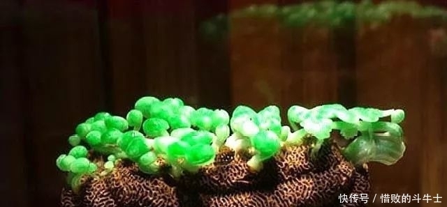 慈禧|慈禧生前最爱的5件翡翠,每一件都价值连城,最后一个下落不明