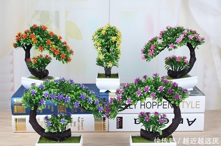 发酵|浇花还在用自来水?园艺师教你几个常用的小技巧,随便养都能爆盆