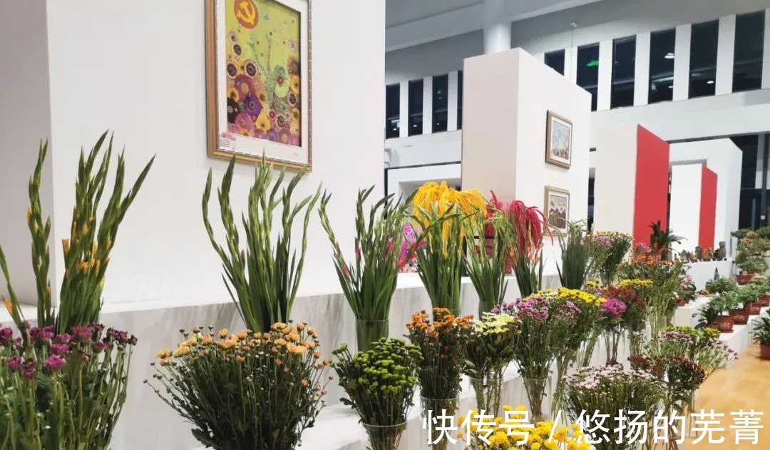 重磅|【最新】花博园里的“重磅新款”来了!