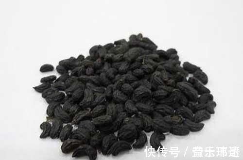 女贞子|默默带你认识一味中药——女贞子!食疗小方分享给大家,建议收藏