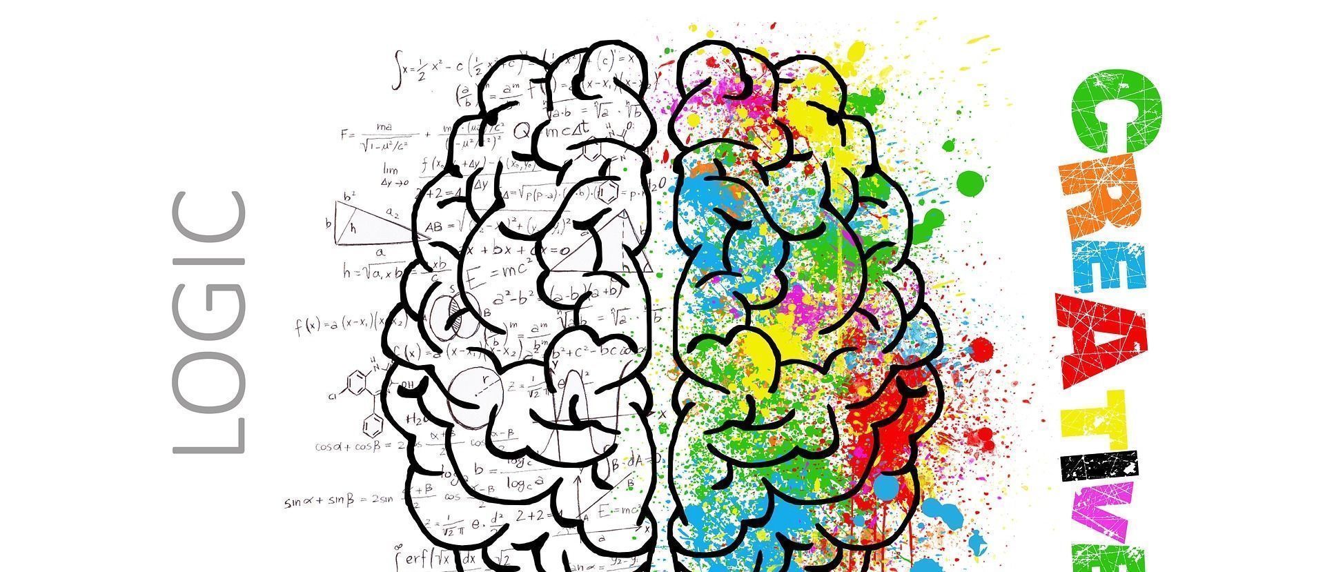 孩子|孩子总是学习差,父母错过孩子大脑发育黄金期,却逼孩子加倍努力