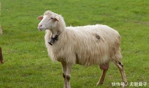 踏实本分，认真努力的3生肖男，生活开心，一生平安，钱财不断！