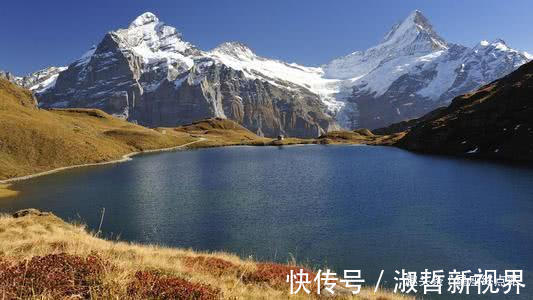 天生|阴历几月出生的孩子,天生智商高,聪明伶俐,成为父母的骄傲