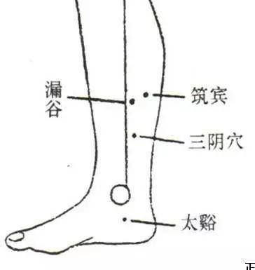 经络|你身上的慢性病,久治不愈,都与这条经络不通有关