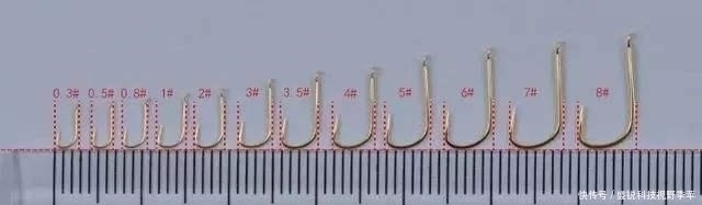 散落物|夏季钓鱼，面对小鱼大军的攻城略地，为何有些钓友输得很惨