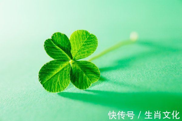 霉运|来年1月起，3生肖霉运不见喜事来，事业如日中天，取得好成果！