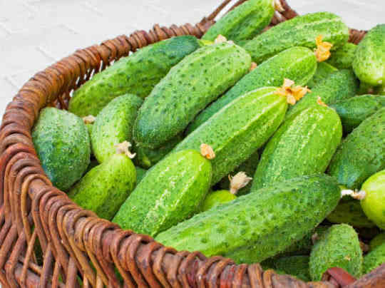 苦瓜|糖尿病“居高不下”3种头号“胰岛素”，常吃摆脱“药罐子”