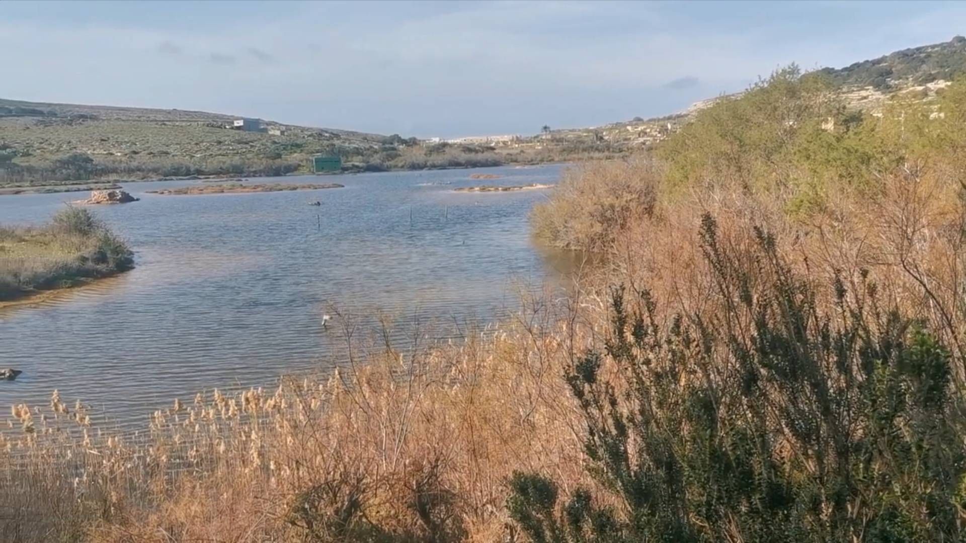 自然保护区|马耳他这个自然保护区喊你来郊游！