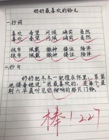 8岁男孩子作业写成印刷体，老师不忍判错，网友学霸就是这样的