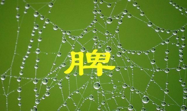 益气|“脾虚百病生”，脾虚的人，注意三个方面健脾，常吃三物做三事