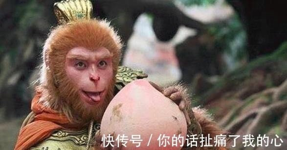 太上老君|悟空总是钻妖怪的肚子,为何无人敢钻他的肚子,太上老君说出了真相!