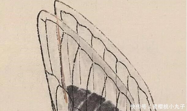 齐白石的《蝉》为何能拍出8亿天价放大40倍再看,细节决定一切!