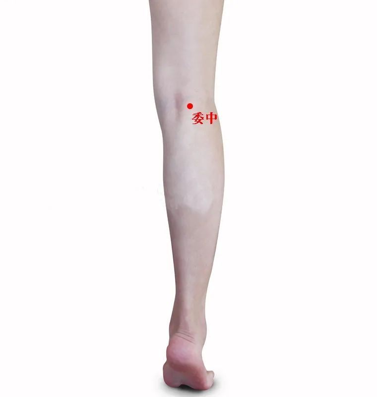 八虚|人体有8虚,学会拍一拍,清肺气化肝郁健脾胃通经络,百病远离!