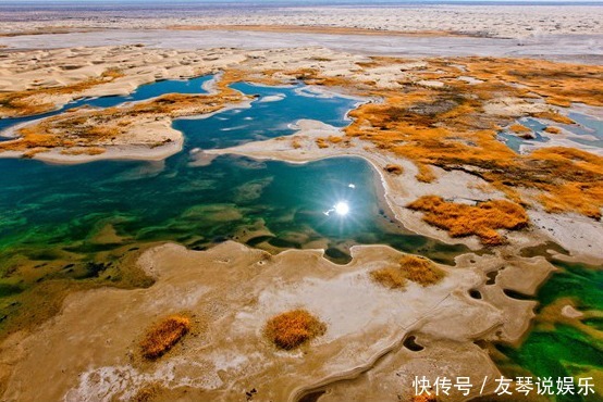 沙漠|中国最大沙漠其实有水有生命，推翻“生命禁区论”，美景鲜为人知