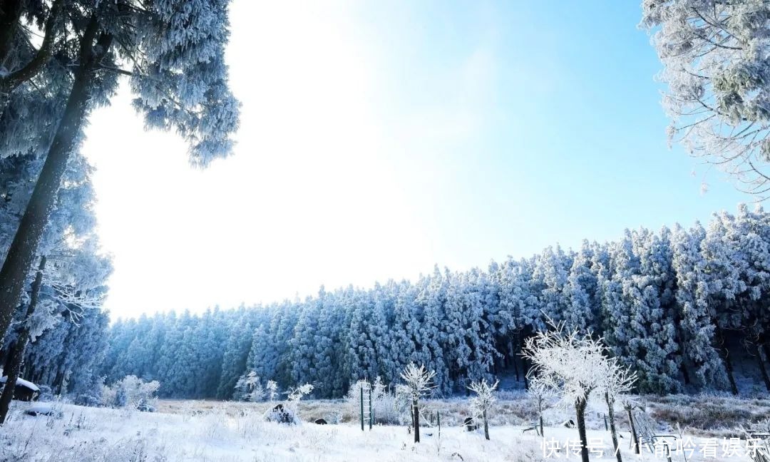 雪景|遂昌大美雪景图！让你一次看个够