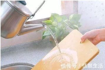 砧板用久了发霉发黑滋生细菌怎么办教你几招快速搞定