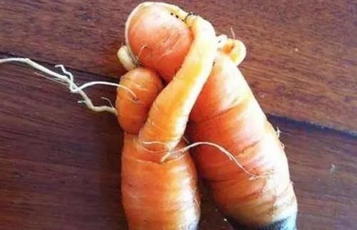 榴莲|那些“成精”的水果,忍了榴莲,忍了苹果,看到草莓这是要下蛋