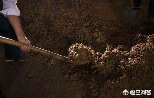 都说酒是粮食酿的，那么现在酒厂的酒糟哪去了？