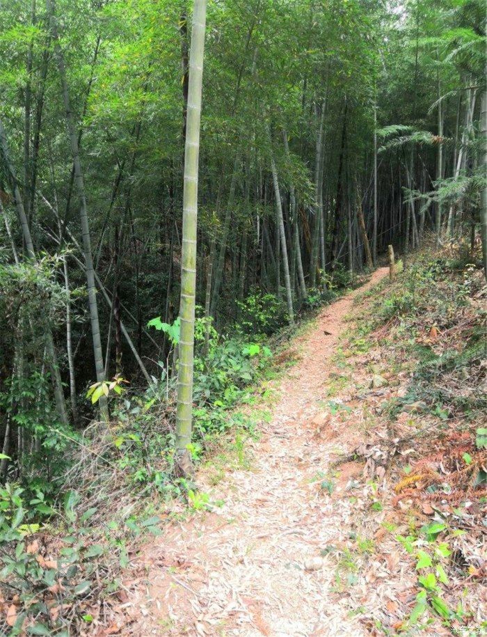 拍拍车|悠闲的周末，带孩子去山里看风景