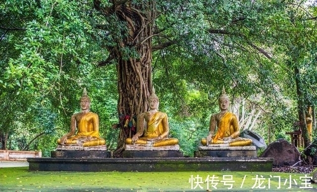 国学大师#百岁老人—叶曼居士:8岁吃素,得南怀瑾先生指点,终得顿悟