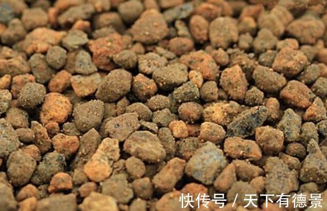 火山岩|新手了解做盆景,三种阶段土,三种阶段,养护盆景更合理