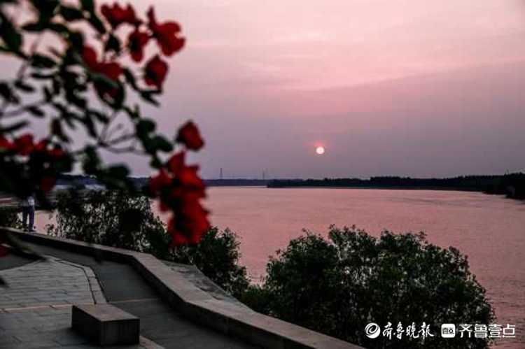 这里的落日真美！济南黄河夕阳西下绚彩多姿，红霞飞满天|情报站| 济南