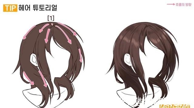 绘画 「绘画素材」多种人物发型画法参考!告别呆板发型~!