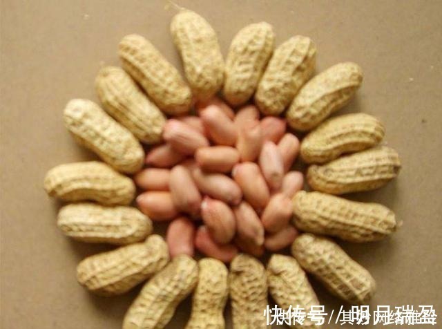 燕麦|92岁老人血管壁光滑比29岁小年轻还要好, 就因每周都吃它!