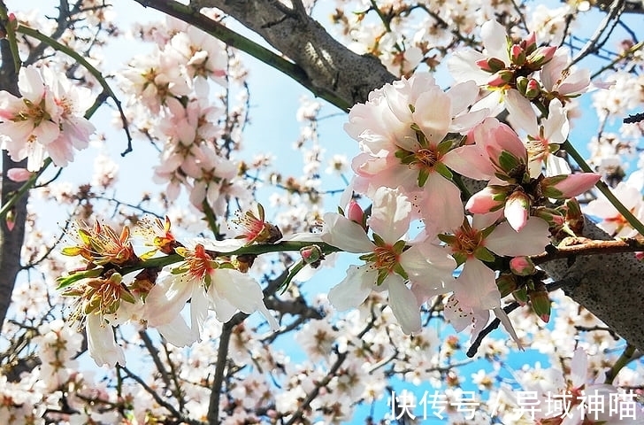 生肖|1月份以后，运势由衰转旺，否极泰来的3大生肖