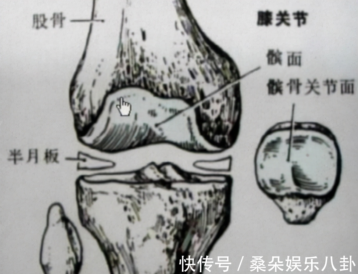 灵活性|100%长传成功率 赢下6次一对一!乌姆蒂蒂被黑是动了谁的奶酪