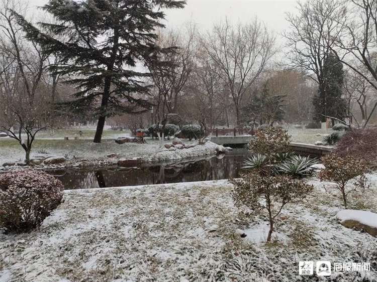 孙永莲|一场雪让潍坊美成了这样