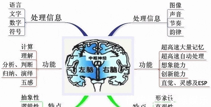好奇心|孩子有这3种特征,说明右脑很发达,好好培养可能成为“发明家”
