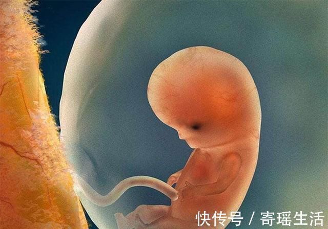 孕期|孕期吃什么生高智商宝宝？这三种食物要多吃，一个都无不能落下！