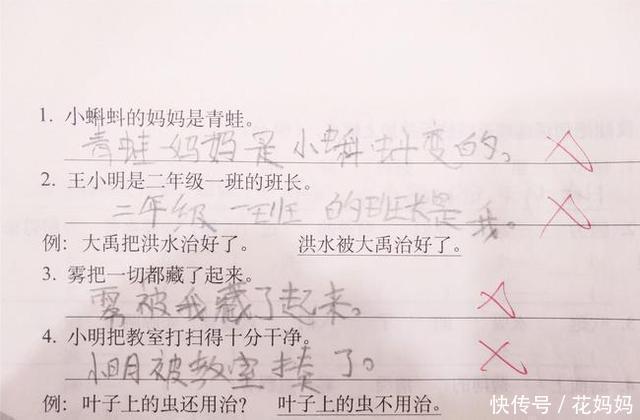 老师|小学生答题“连一连”火了，老师判错被网友吐槽根本就没错